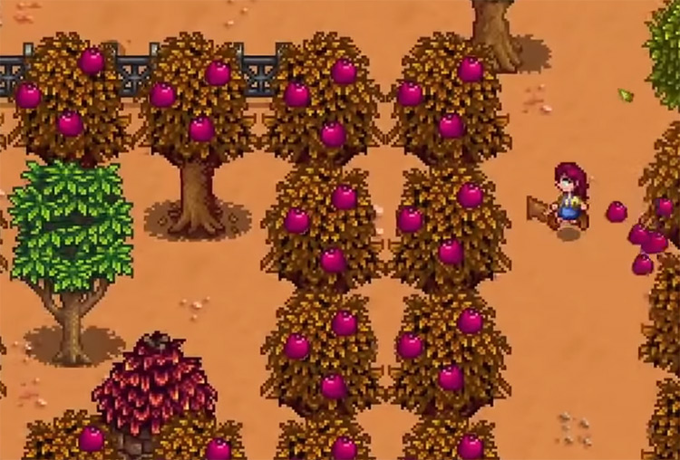 pomegranate stardew valley