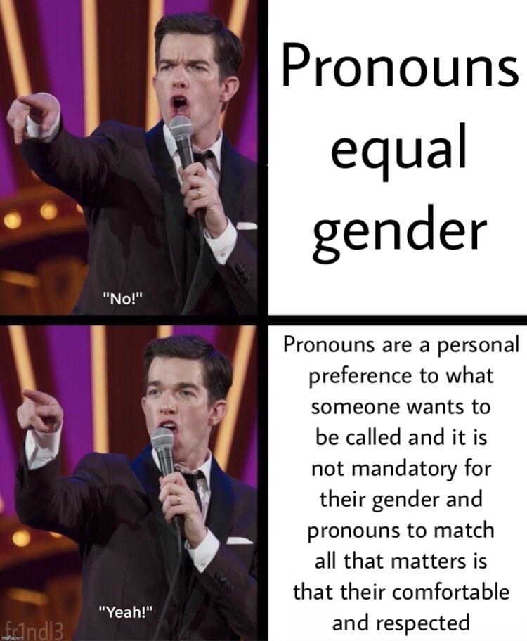 pronouns memes