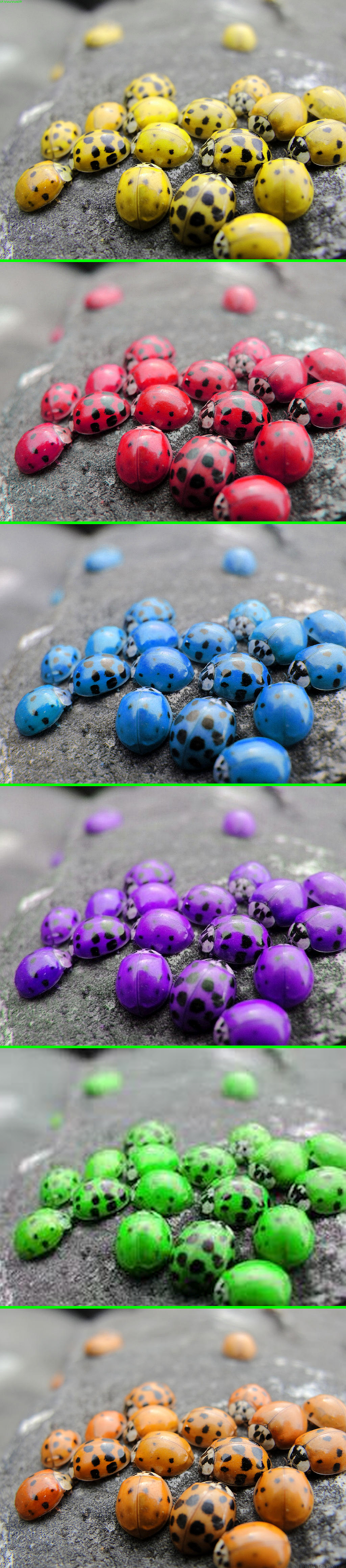 purple ladybug meaning