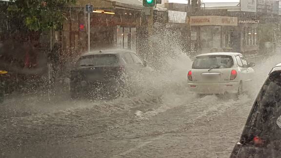 rain in auckland today