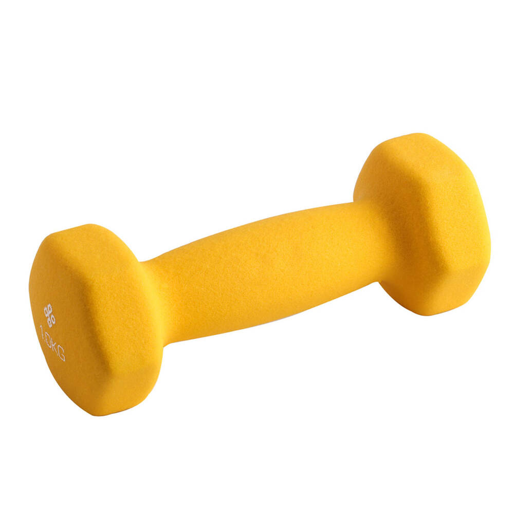 rebel sports dumbell