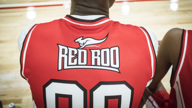 red roo basketball