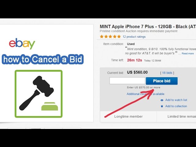 remove a bid ebay