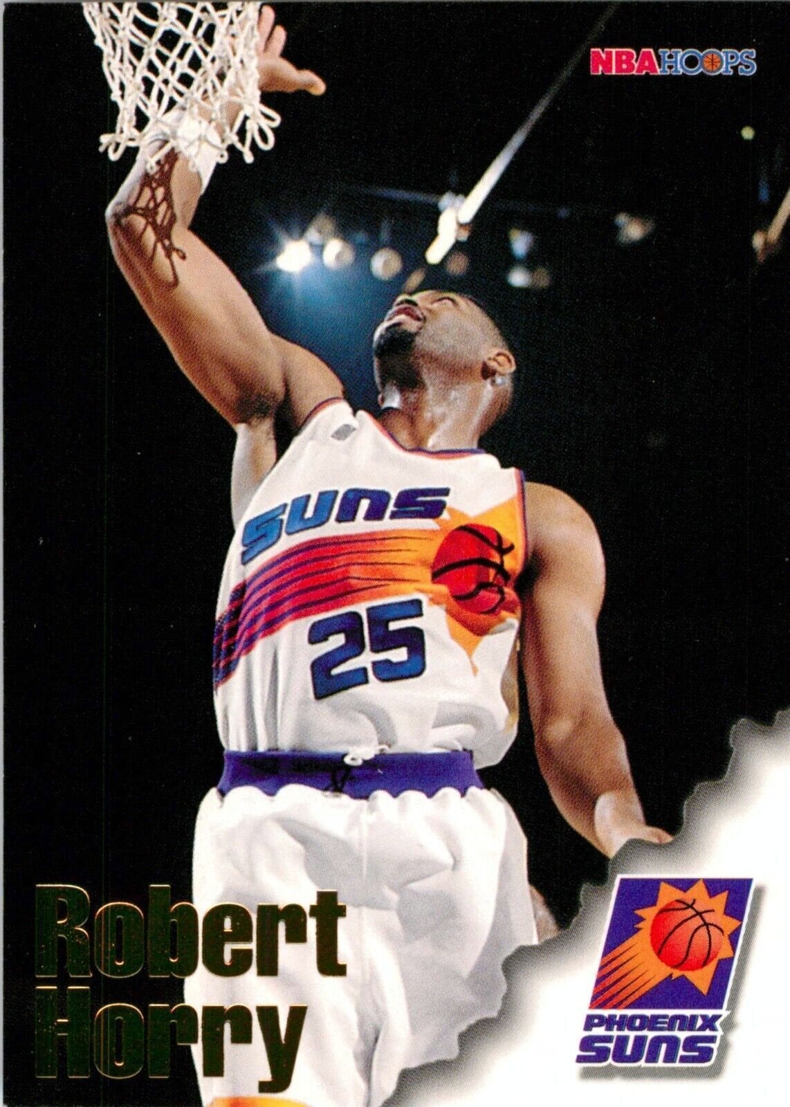 robert horry suns