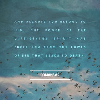 romans 8 esv