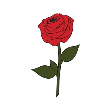 rose png vector