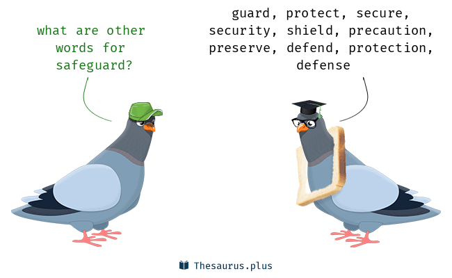 safeguards synonym