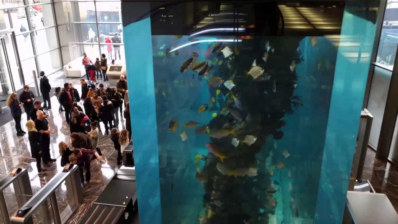 salesforce tower fish tank