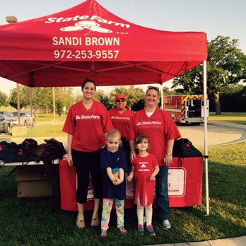 sandi brown state farm insurance agent