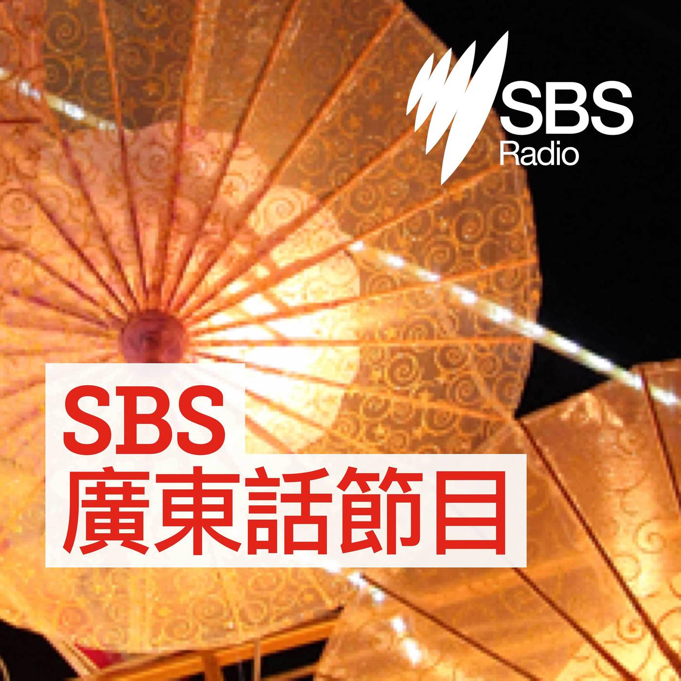 sbs cantonese