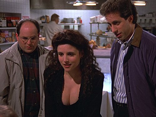 seinfeld elaine