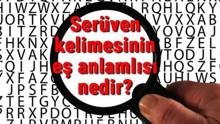 serüvenin eş anlamlısı