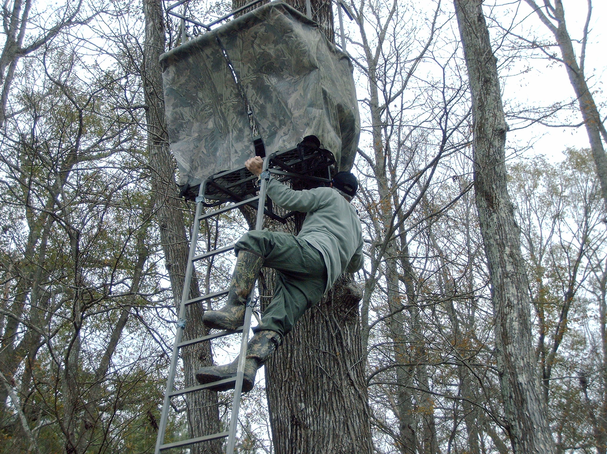 setting up a ladder stand