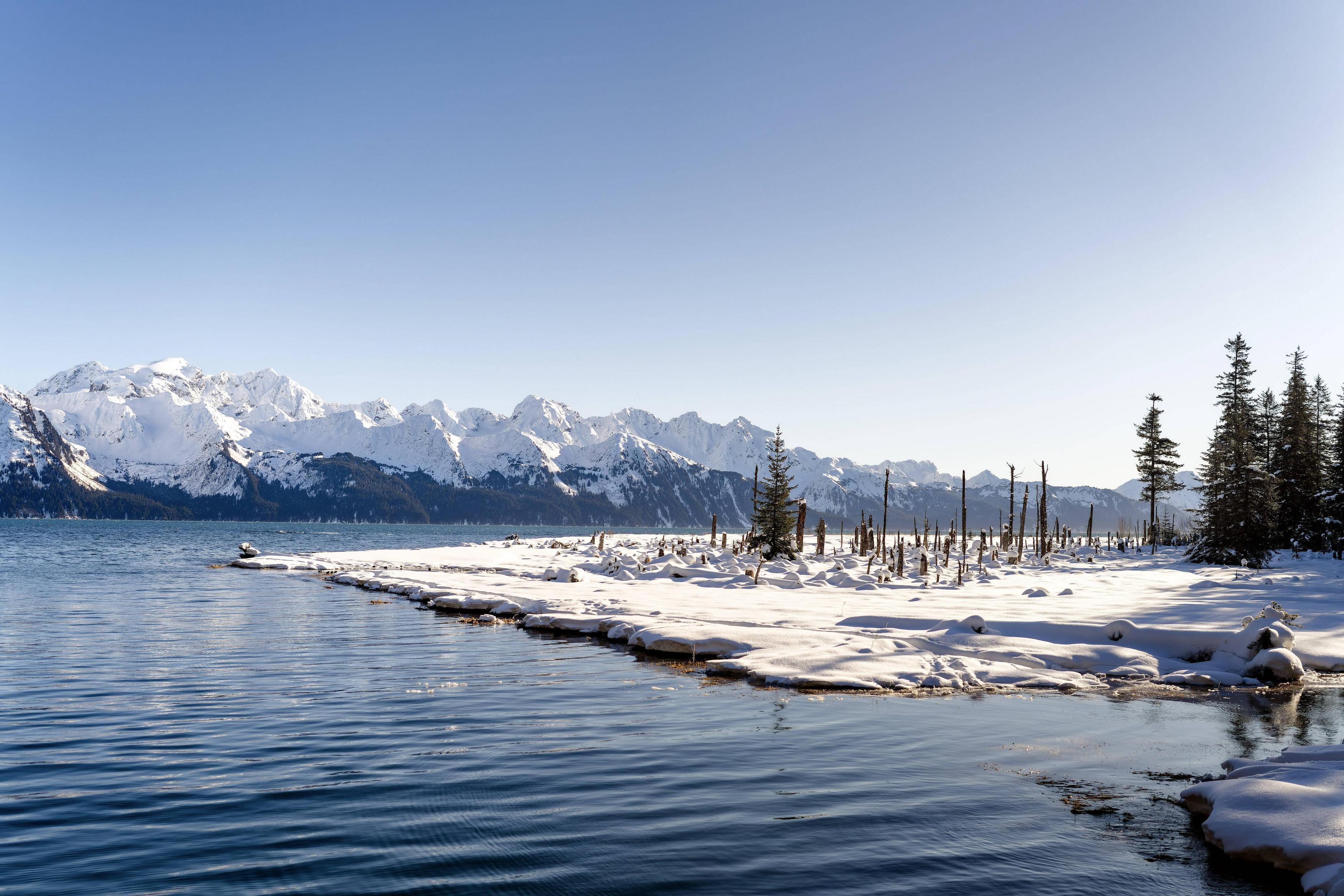 seward tide table