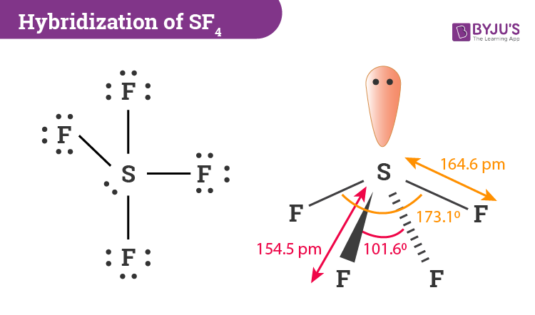 sf4 molecular geometry