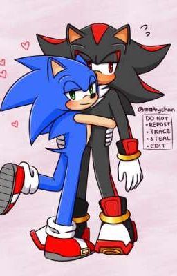 shadow x sonic