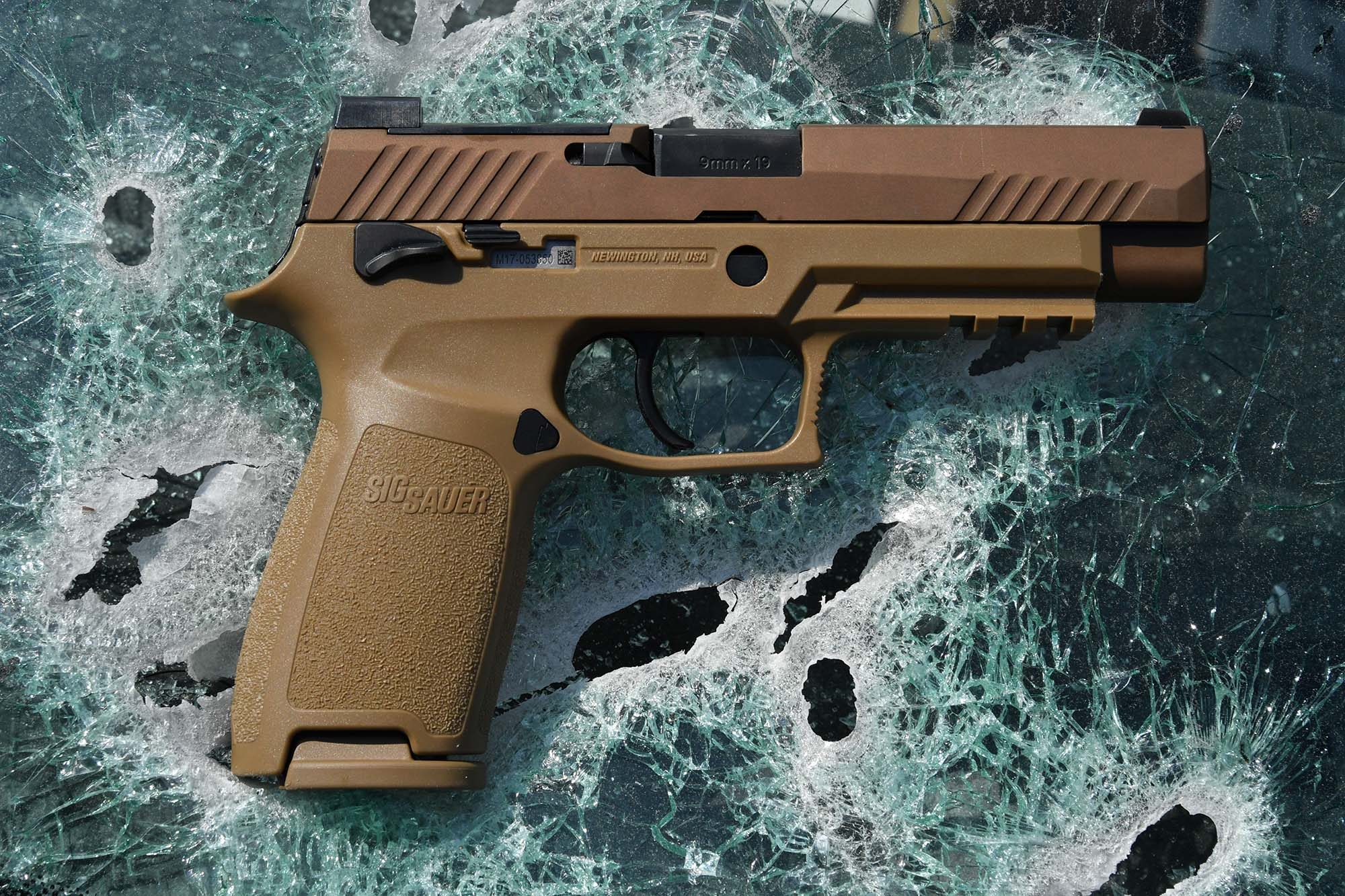 sig romeo m17 civilian version