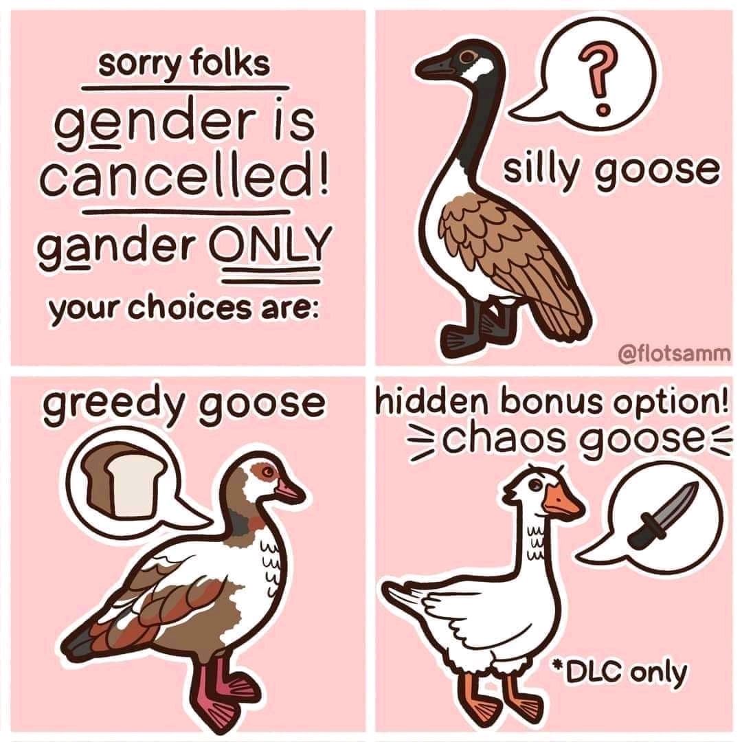 silly goose origin