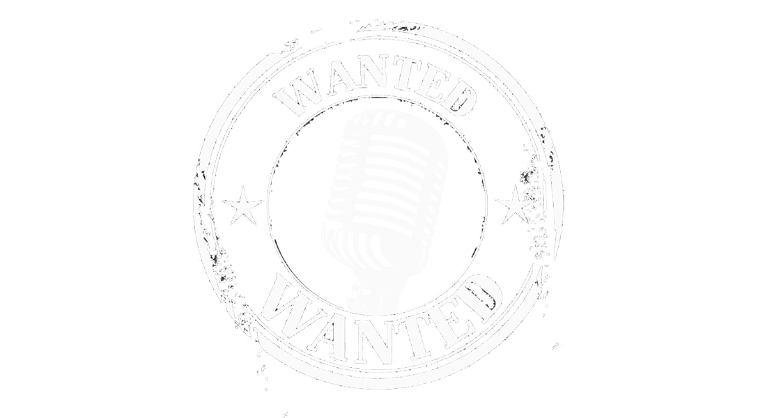 singer wanted