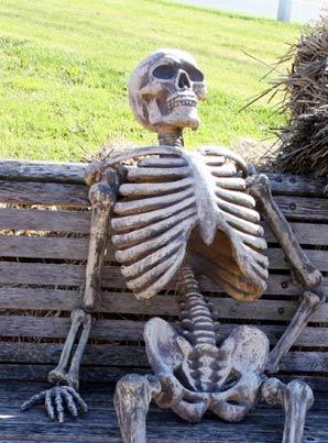 skeleton waiting meme