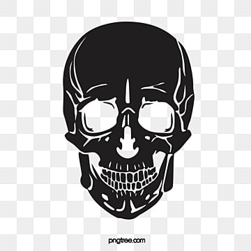 skull png transparent