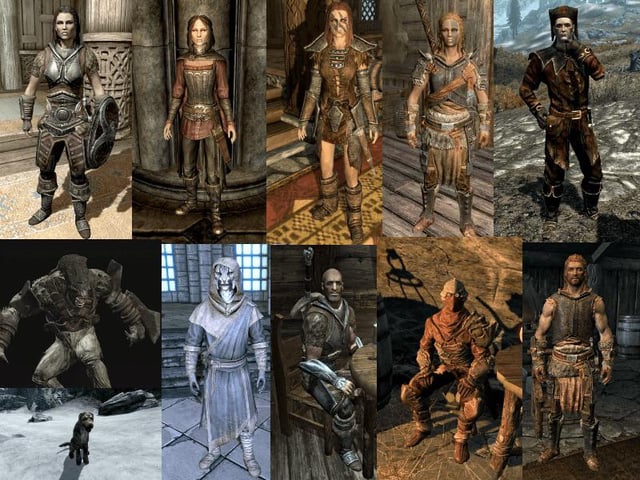 skyrim best follower