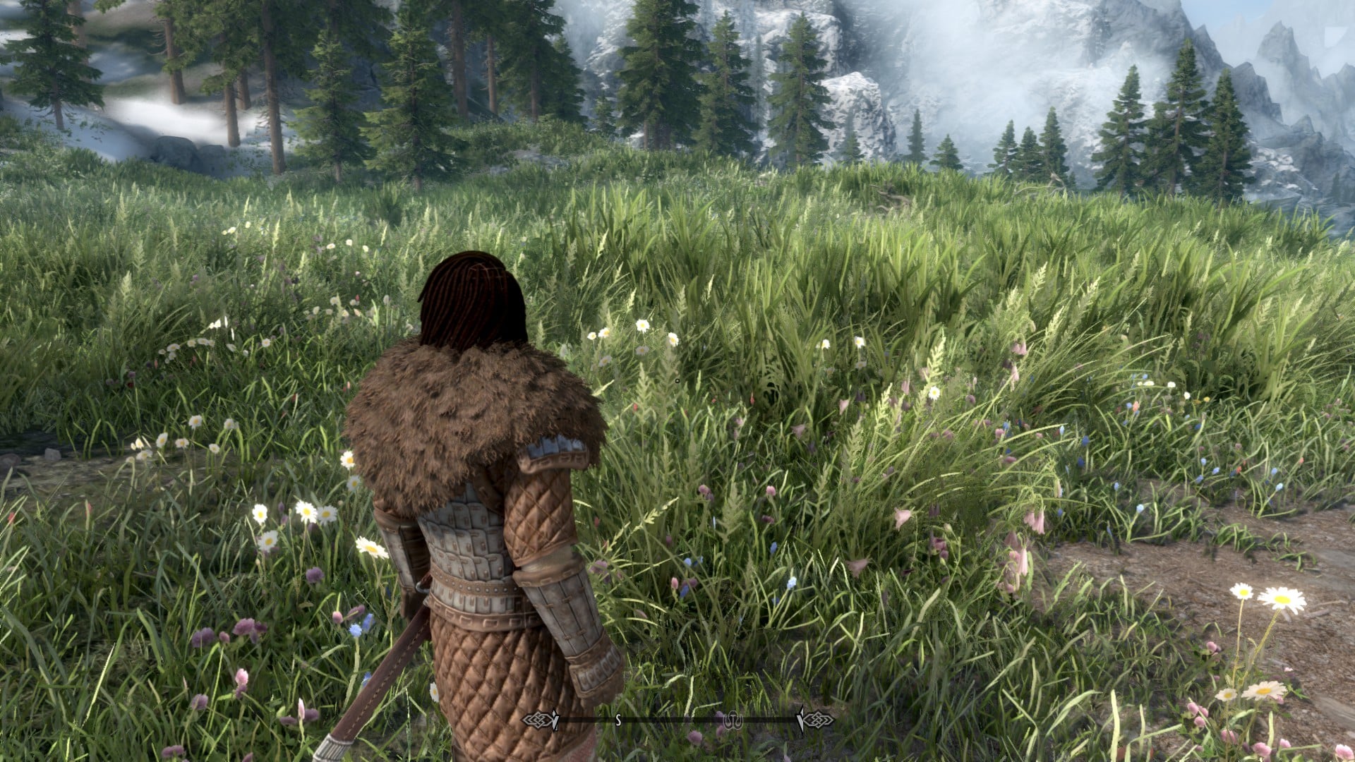 skyrim se grass mod