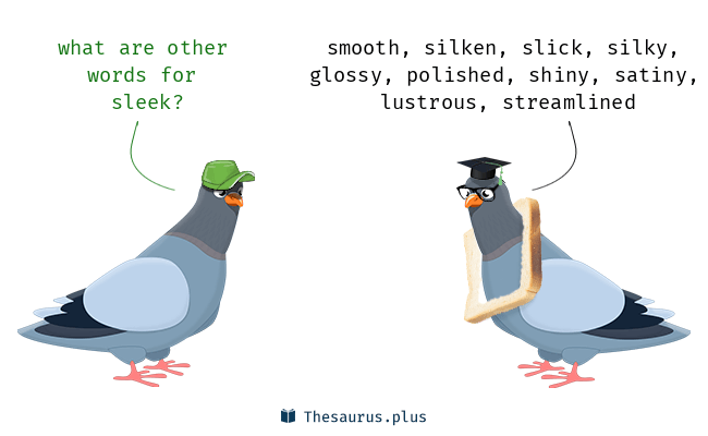 sleek synonym