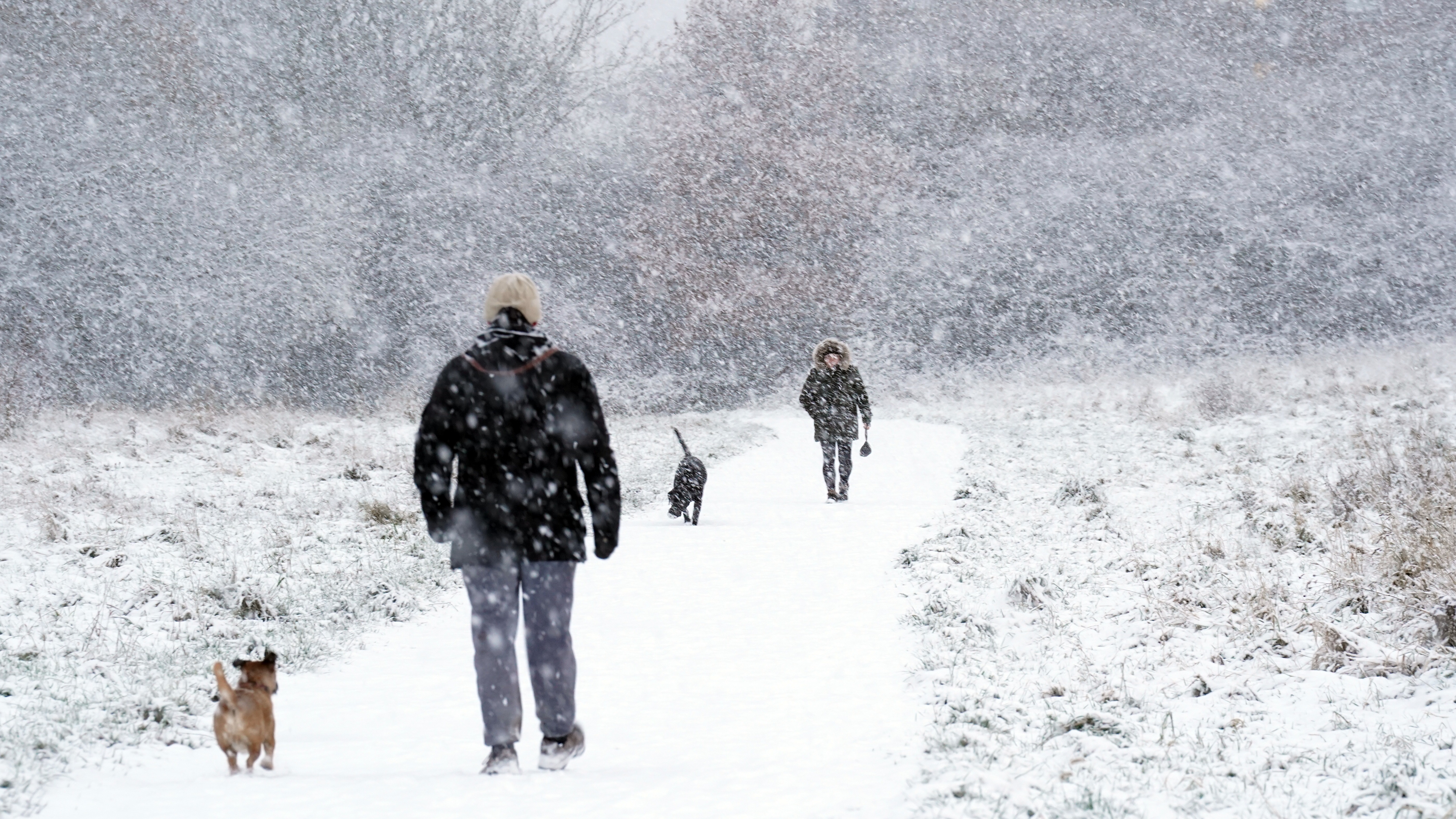 snowy weather warnings issued as temperatures plunge across the uk.