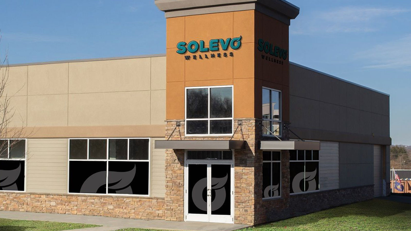 solevo wellness washington