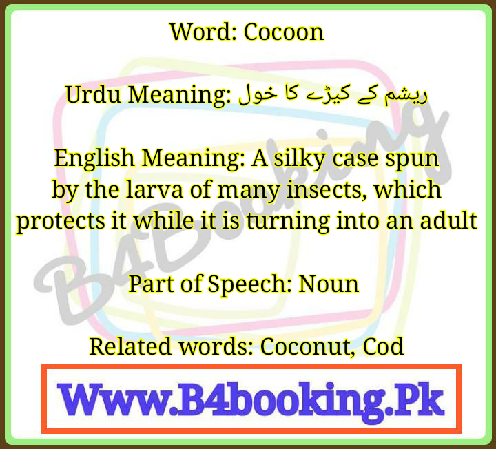 spun meaning in urdu