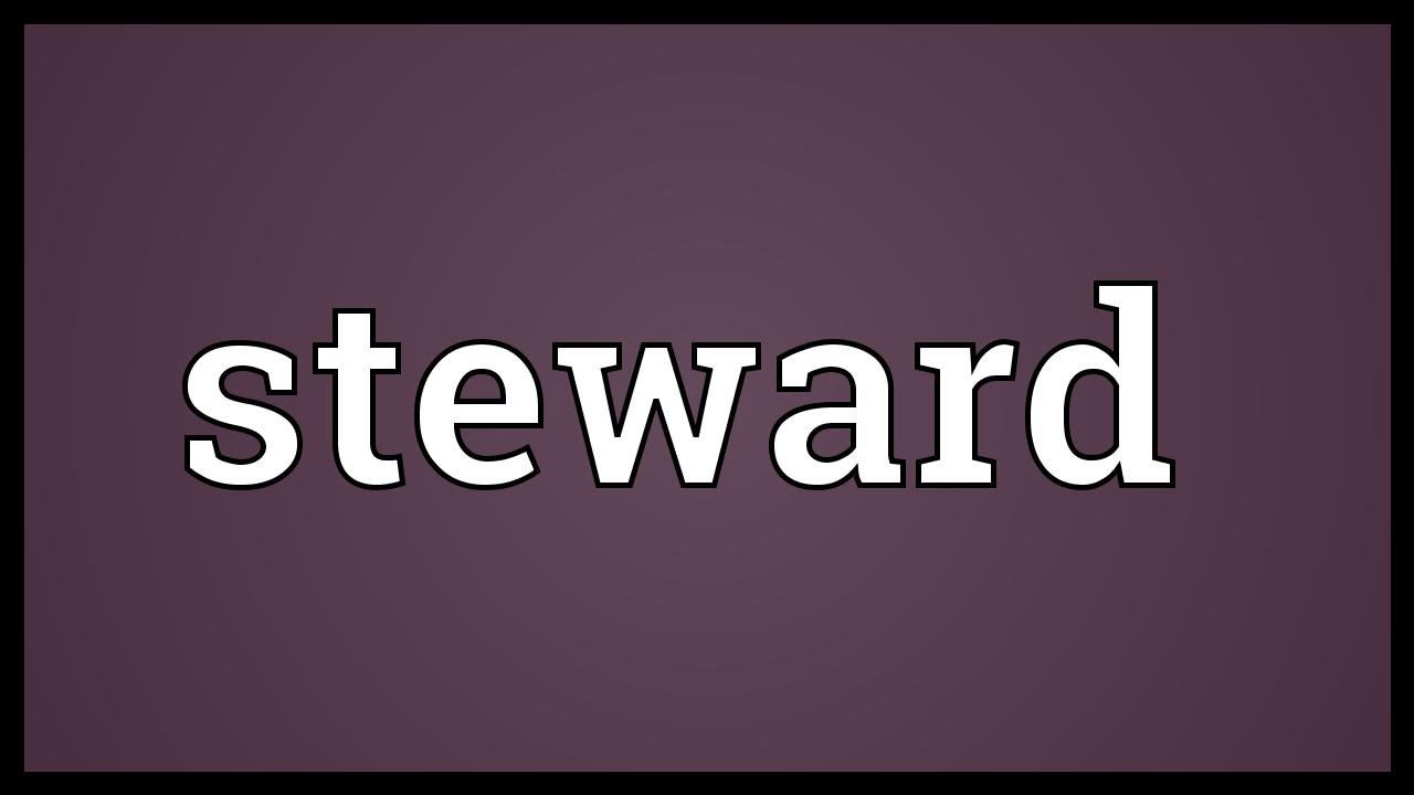 steward meaning in urdu