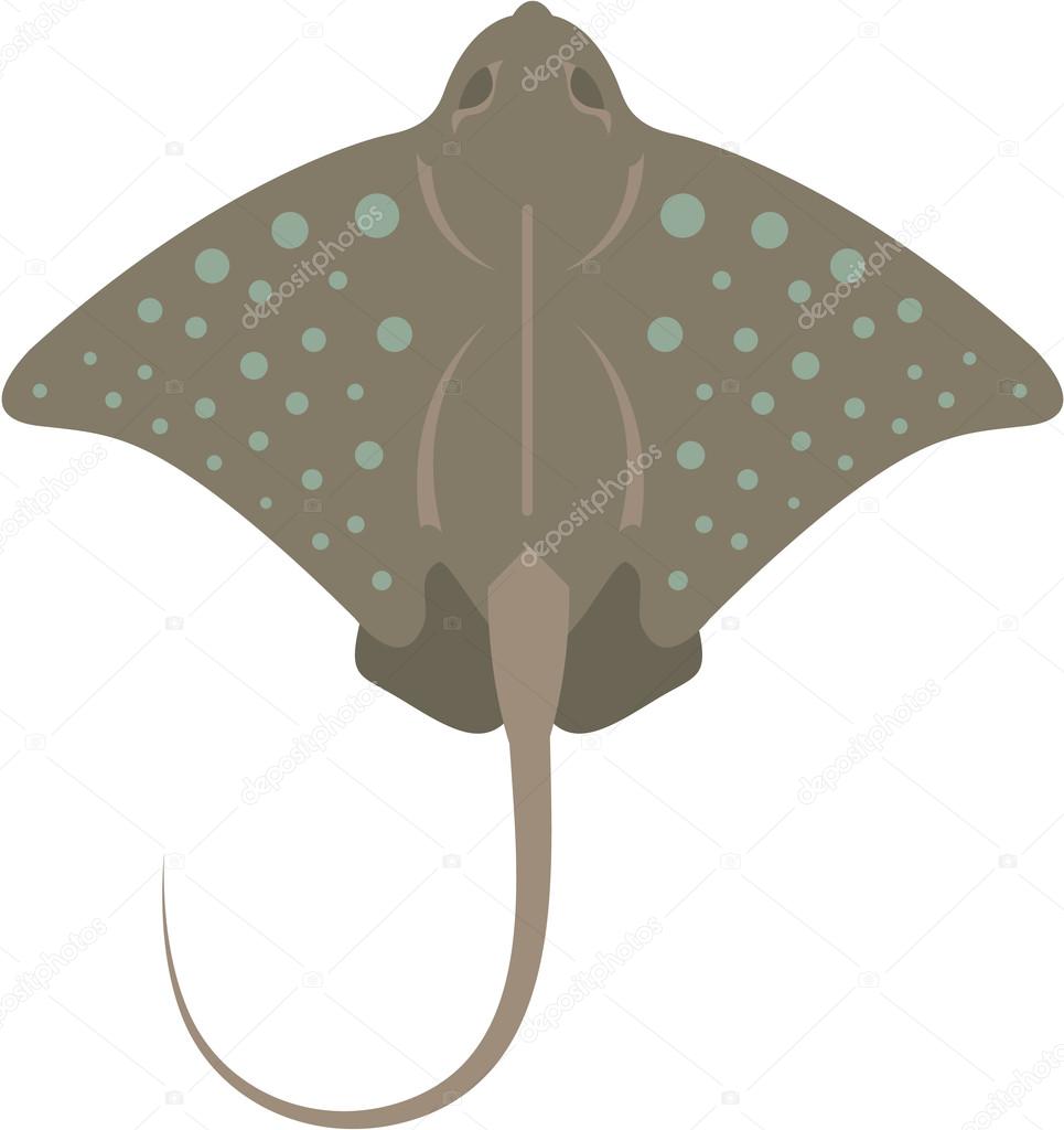 stingray clip art