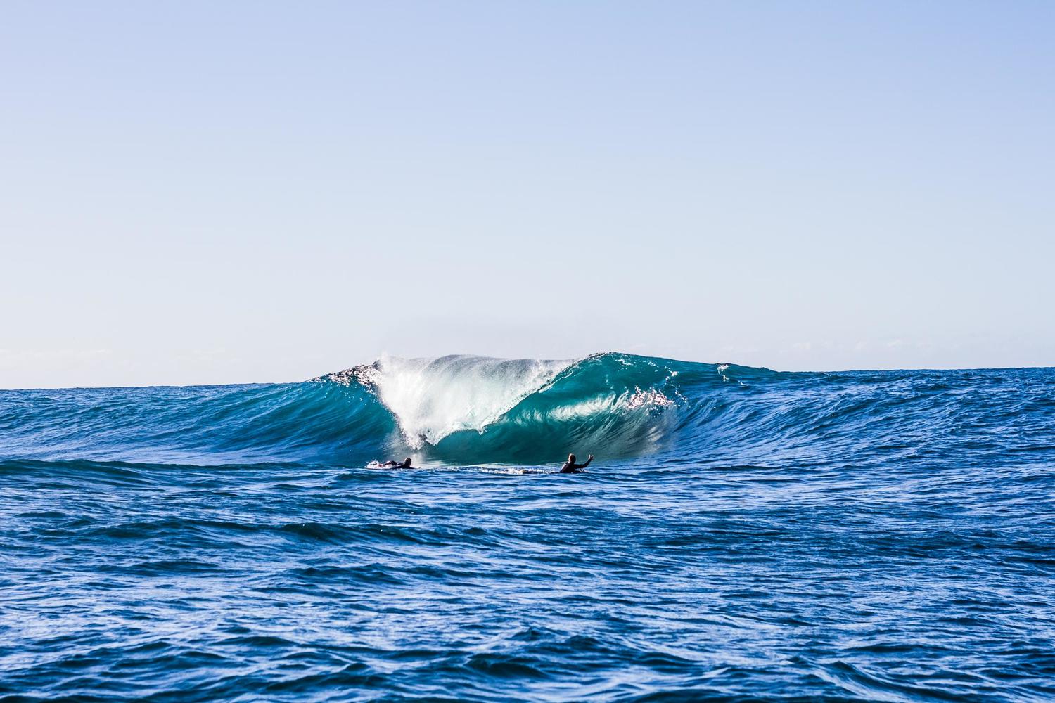 surfcam snapper