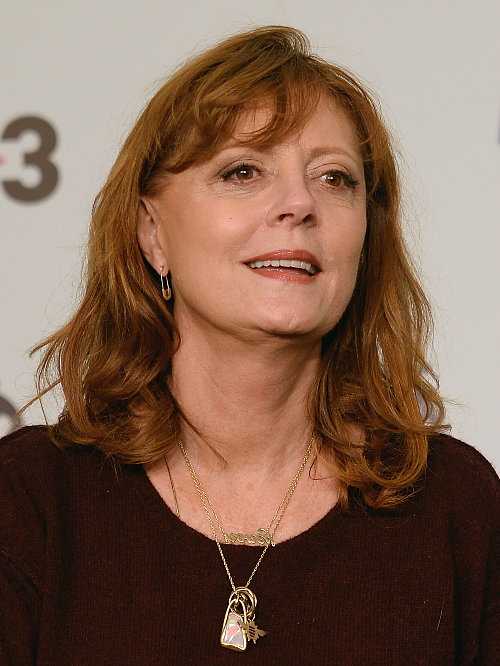 susan sarandon portrait