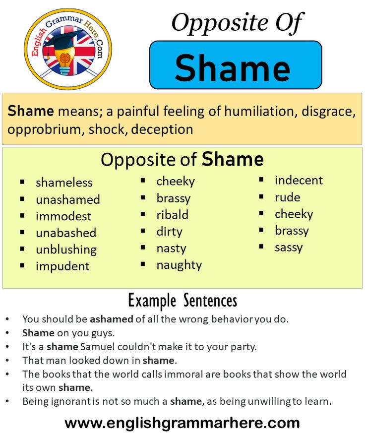 synonyms of shame