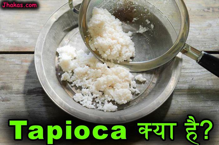 tapioca meaning in hindi