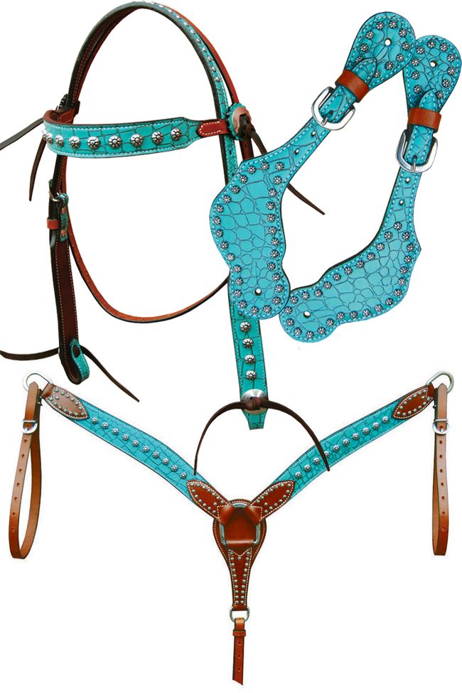 teal horse tack