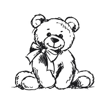 teddy bear photos drawing