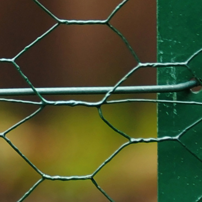 toolstation wire mesh