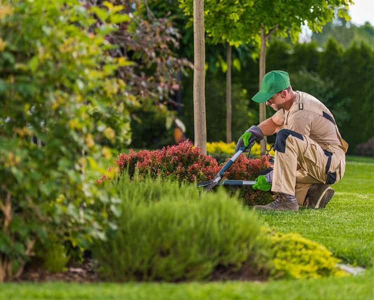 trabajos de jardinero