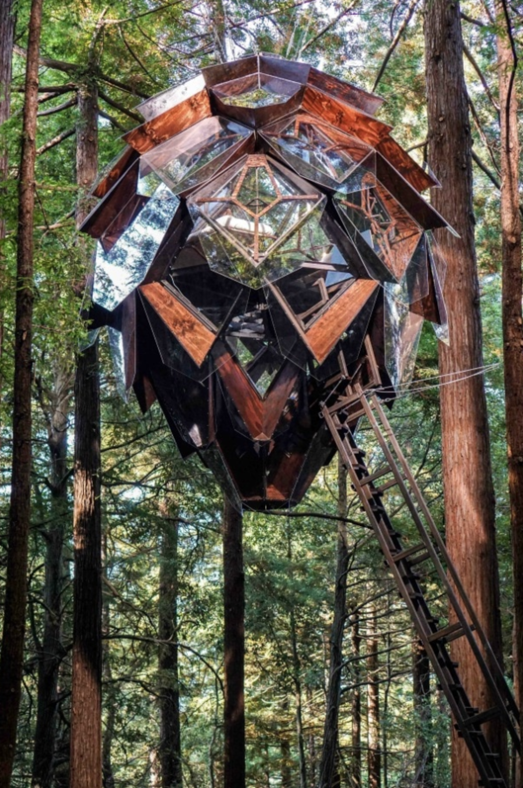 tree house for sale