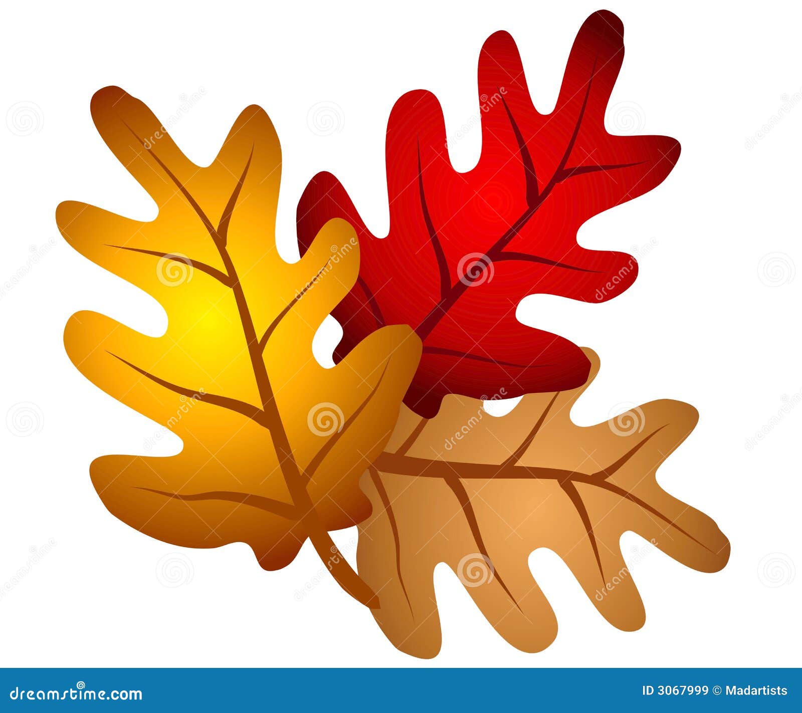 tree leaves clipart