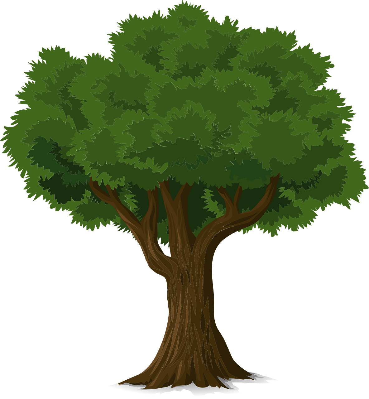 tree vector graphic