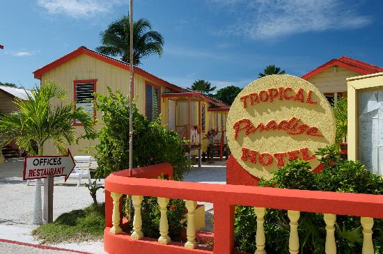 tropical paradise caye caulker