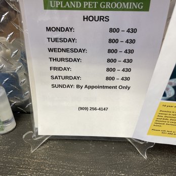 upland pet grooming upland ca