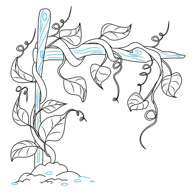 vines drawing