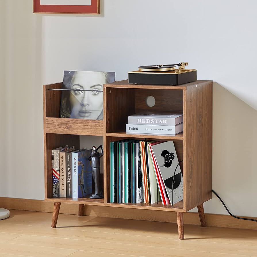 vinyl record storage cabinet