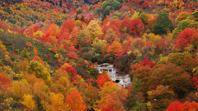 weather asheville november