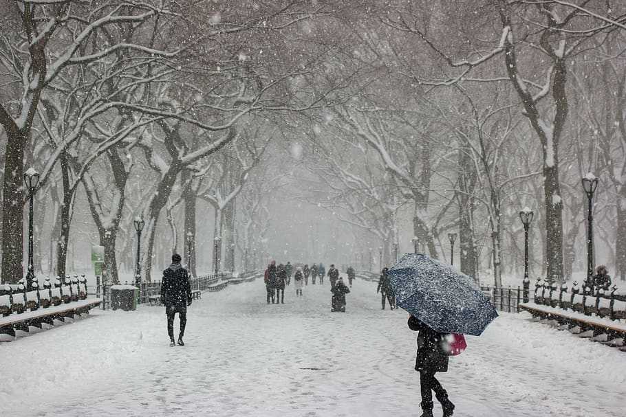 weather in manhattan december